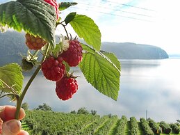 4 Person Holiday Home in Utvik