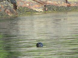 4 Person Holiday Home in Utvik