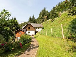 Apartment Near the Koralpe ski Area