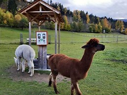 Chalet in St. Georgen ob Murau