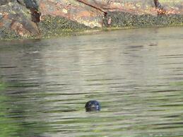 4 Person Holiday Home in Utvik