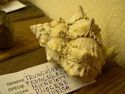 Belvilla by OYO Beautiful Farmhouse With Garden