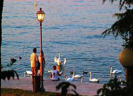 Nice Apartment on Ground Floor near Peschiera