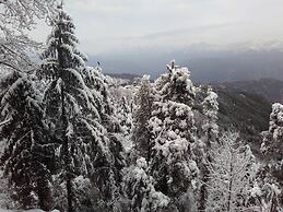 Aaroham By Aamod Dharamshala