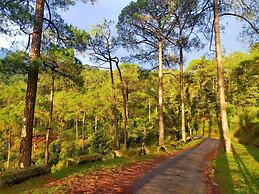 Aaroham By Aamod Dharamshala