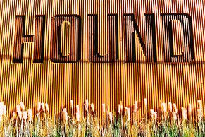 Hound Hotel Busan Station