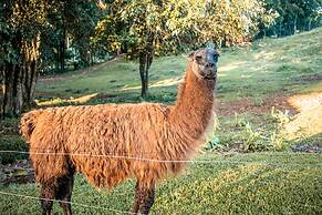 Maestro Aguas Quentes De Beltrao