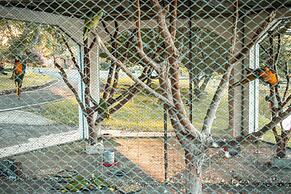 Maestro Aguas Quentes De Beltrao