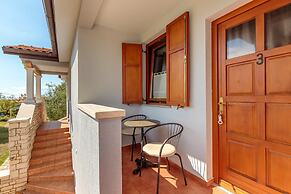 Pool & Fun House Betiga 1 With gym