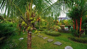 Green Coconut Cottage