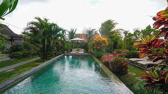 Green Coconut Cottage