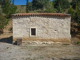 Zeus Traditional House