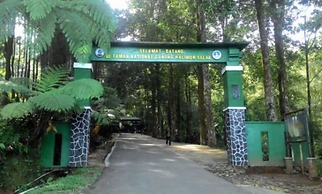 Villa Bidadari