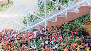 Bungalow Lam Phuong Cac Hill