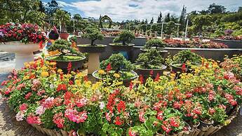 Bungalow Lam Phuong Cac Hill