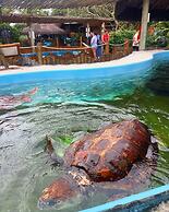 Pousada Recanto Margerie