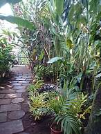 Tortuguero Adventures Guesthouse