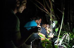 Tortuguero Adventures Guesthouse