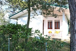 Dream Villa With an Amazing Garden