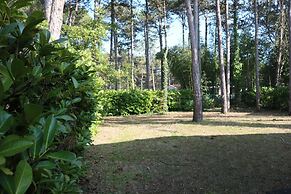 Dream Villa With an Amazing Garden