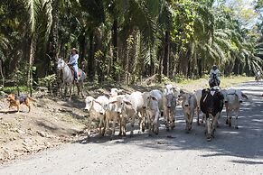 2 Comfortable New Villas Near Pacific, Private Pool With Waterfall!