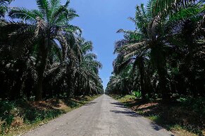 2 Comfortable New Villas Near Pacific, Private Pool With Waterfall!