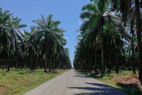 2 Comfortable New Villas Near Pacific, Private Pool With Waterfall!