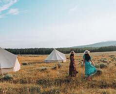 Wander Camp Yellowstone Island Park