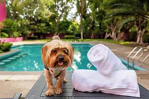 Hotel Real de Puebla