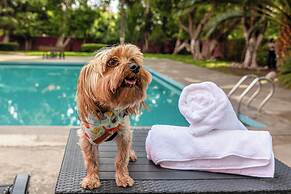 Hotel Real de Puebla