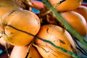 Mango House Seychelles, LXR Hotels & Resorts