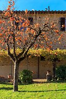 Fattoria Santo Stefano - Agriturismo