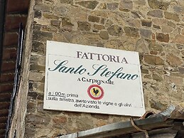 Fattoria Santo Stefano - Agriturismo