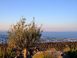 Apikia Santorini - Adults Only