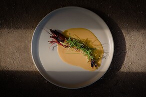 Paradero Todos Santos - Exclusive Experiences