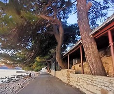 Apartments Clementina Sunrise