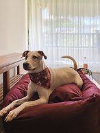 Kimpton Aluna Tulum by IHG