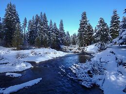 Glacier Forest Getaway