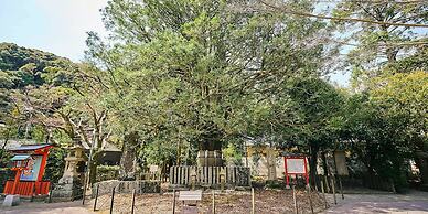 Kokoyui Guesthouse Shingu