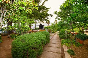 Pool Apartment Bakija 2