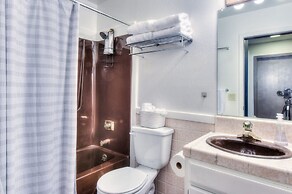 Blue Glacier Delight