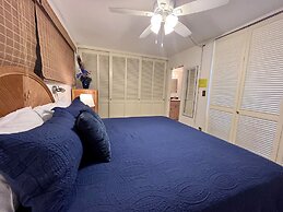 Kona Mansions Ocean Views & Amenities!