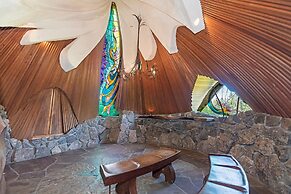 Albatross House