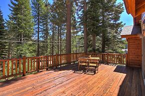 Redwood Refuge