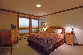 Dollar Point Delight