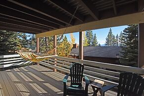 Dollar Point Delight