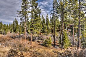 Silver Tree Sanctuary in Aspen Grove!