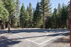 Silver Tree Sanctuary in Aspen Grove!