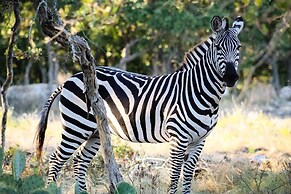 Hidden Rock Ranch 3 Bedroom Cabin by Redawning