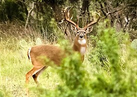 Hidden Rock Ranch 3 Bedroom Cabin by Redawning
